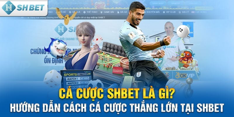 Cá cược SHBET là gì? Hướng dẫn cách cá cược thắng lớn tại SHBET