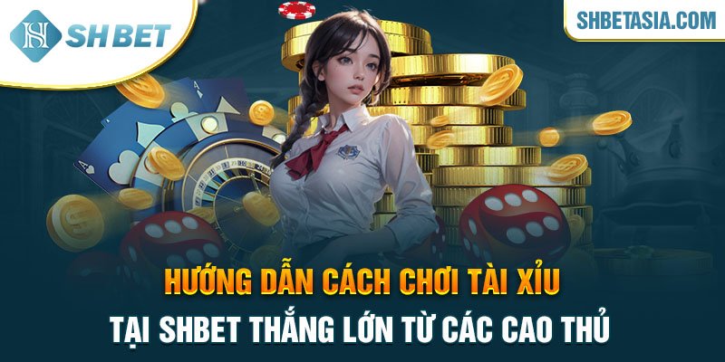 Hướng dẫn cách chơi tài xỉu tại SHBET thắng lớn từ các cao thủ