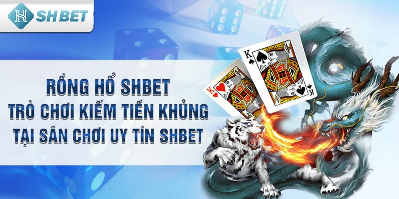 Đá Gà SHBET - Hướng dẫn cách chơi game đá gà cho tân binh