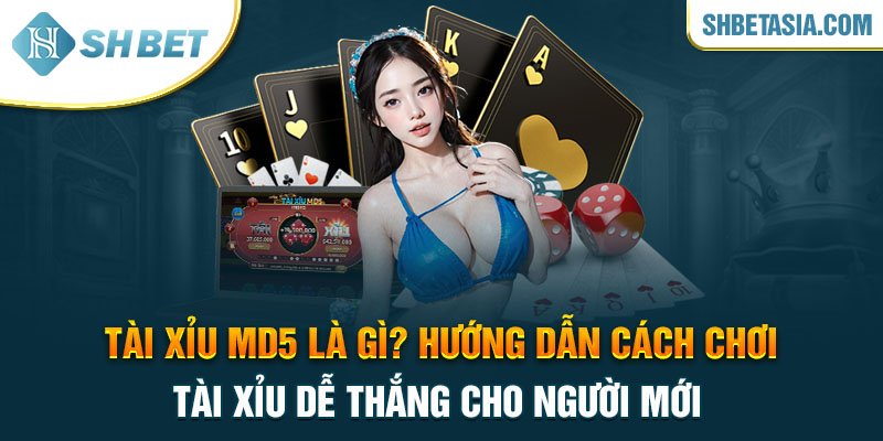 Tài xỉu MD5 là gì? Cách chơi tài xỉu dễ thắng cho người mới