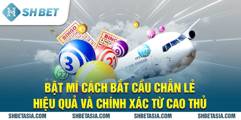 Bật mí cách bắt cầu chẵn lẻ hiệu quả và chính xác từ cao thủ