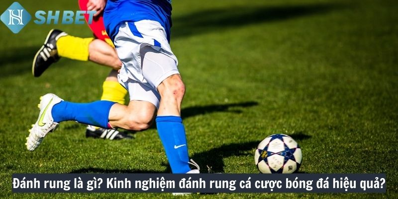 Đánh rung là gì? Kinh nghiệm đánh rung cá cược bóng đá hiệu quả?