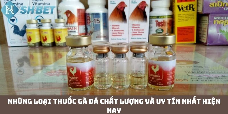 Những loại thuốc gà đá chất lượng và uy tín nhất hiện nay