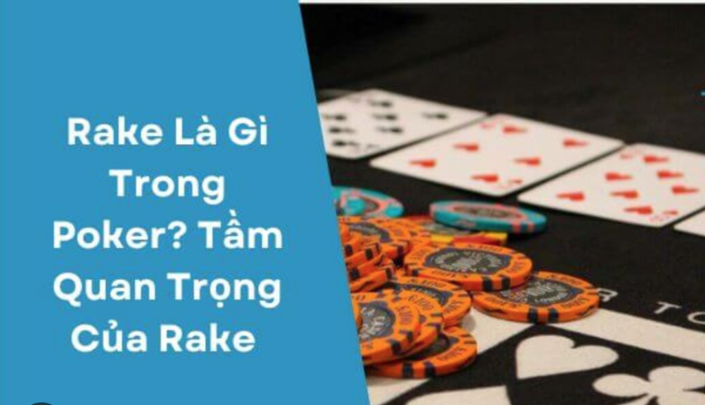 Rake trong Poker - Tìm hiểu phương pháp giúp tăng cơ hội chiến thắng cùng SHBET