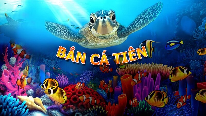 Bắn cá tiên 3D - Tựa game bắn cá nhanh chóng thu hút sự chú ý của cộng đồng game thủ SHBET