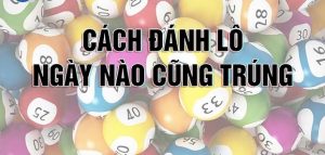hình ảnh minh họa